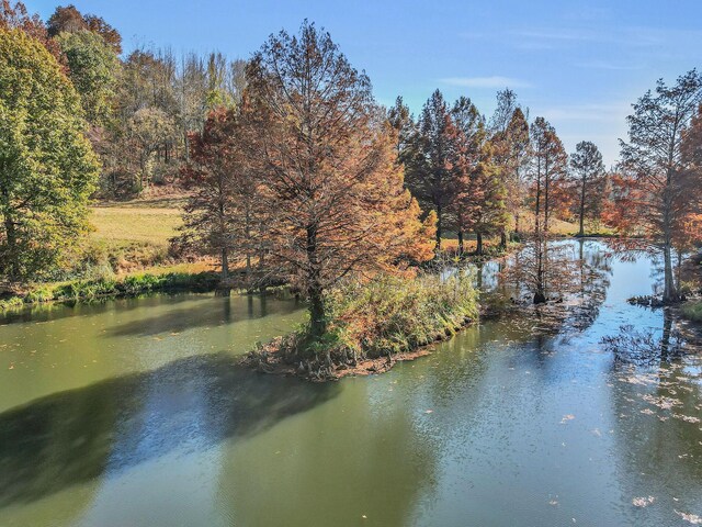 393 Jones Rd, Pulaski, TN 38478 - photo 58