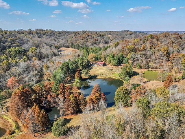 393 Jones Rd, Pulaski, TN 38478 - photo 61