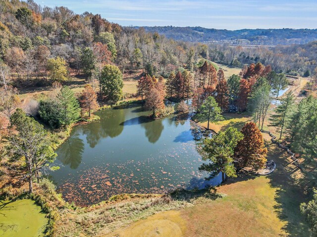 393 Jones Rd, Pulaski, TN 38478 - photo 56