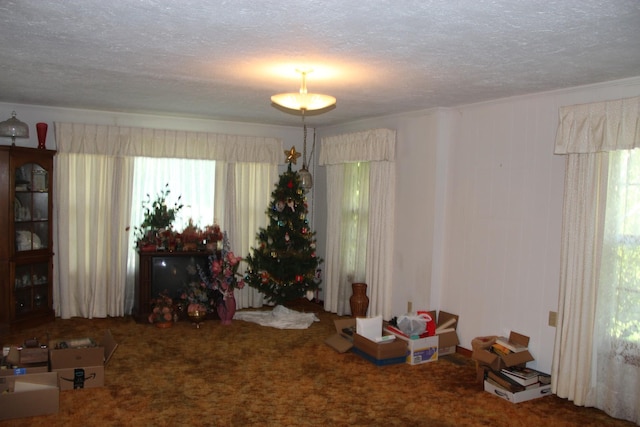 carpeted dining room featuring a textured ceiling