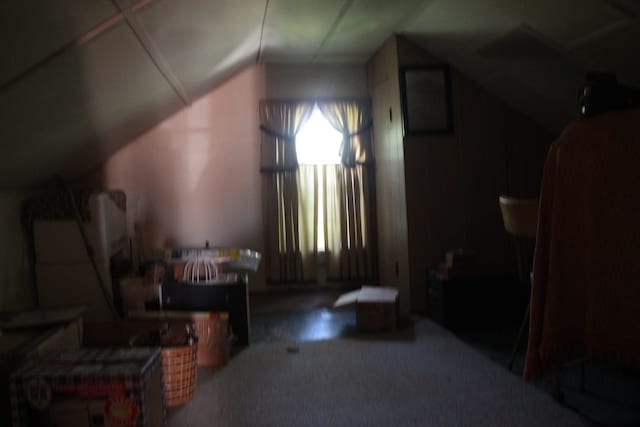 bonus room featuring carpet floors and vaulted ceiling