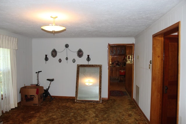 interior space with carpet and a textured ceiling