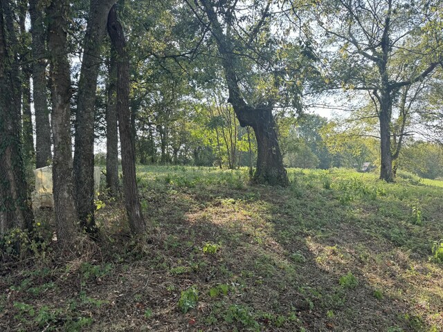7432 Midland Rd, Christiana, TN 37037 - photo 6