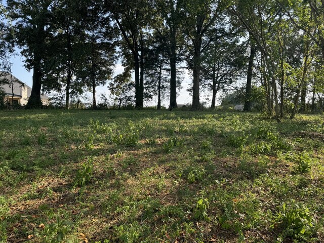 7432 Midland Rd, Christiana, TN 37037 - photo 4