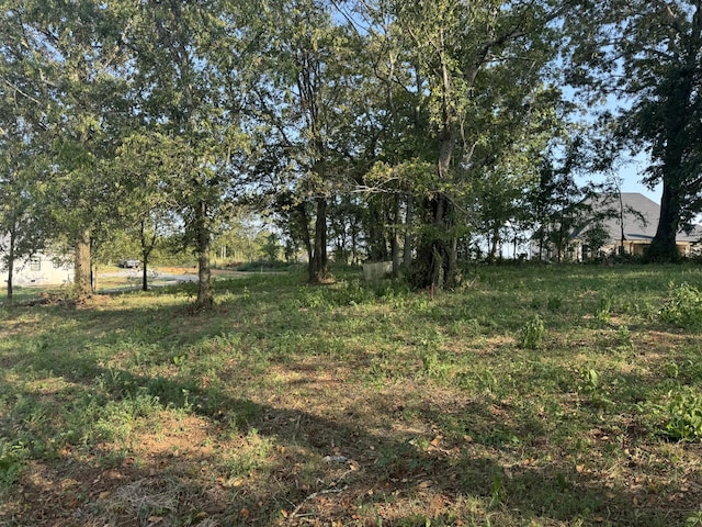 7432 Midland Rd, Christiana, TN 37037 - photo 7