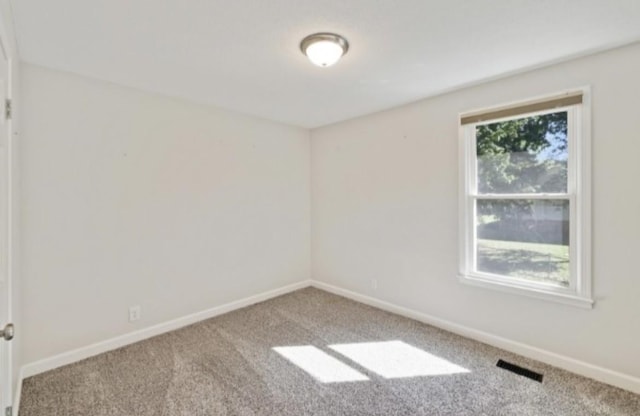 carpeted empty room with a wealth of natural light