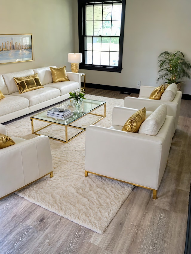 living room featuring hardwood / wood-style flooring