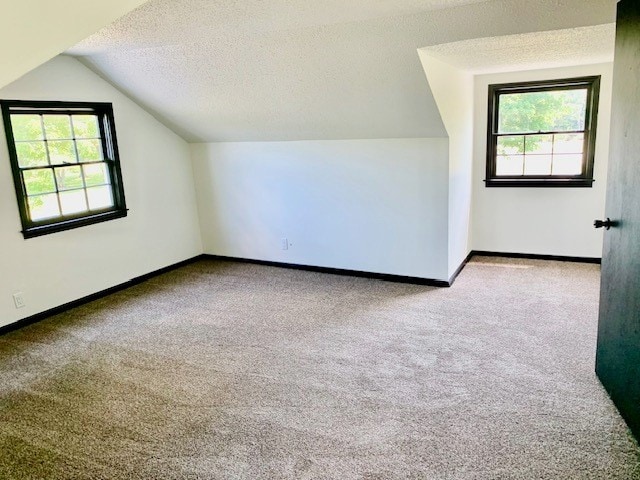 additional living space with lofted ceiling, light carpet, and a textured ceiling