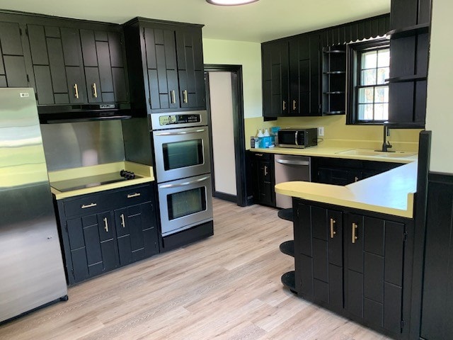 kitchen featuring sink, stainless steel appliances, and light wood-type flooring