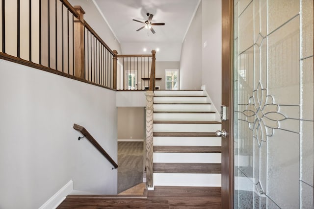 stairway featuring ceiling fan and carpet