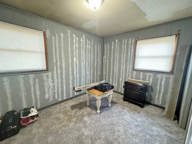 interior space with light colored carpet and a textured ceiling