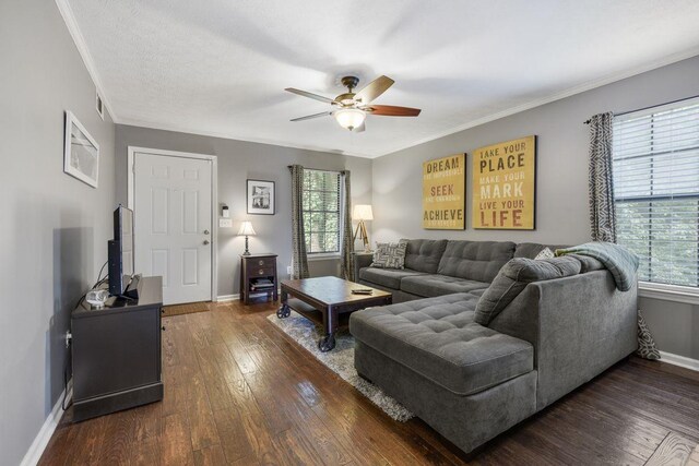 living room with dark wood-type flooring, ceiling fan, plenty of natural light, and crown molding