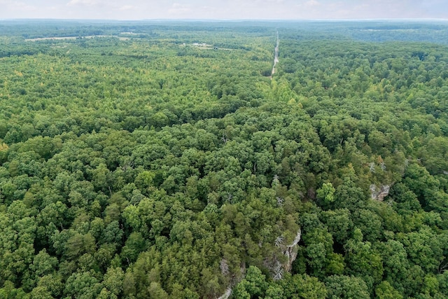 0 Eagle Nest Rd, Mcminnville, TN 37110 - photo 21