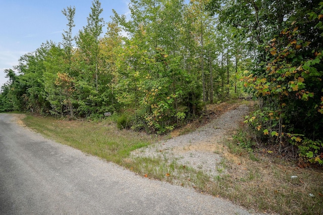 0 Eagle Nest Rd, Mcminnville, TN 37110 - photo 5