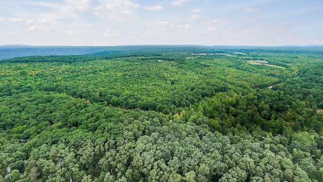 0 Eagle Nest Rd, Mcminnville, TN 37110 - photo 19