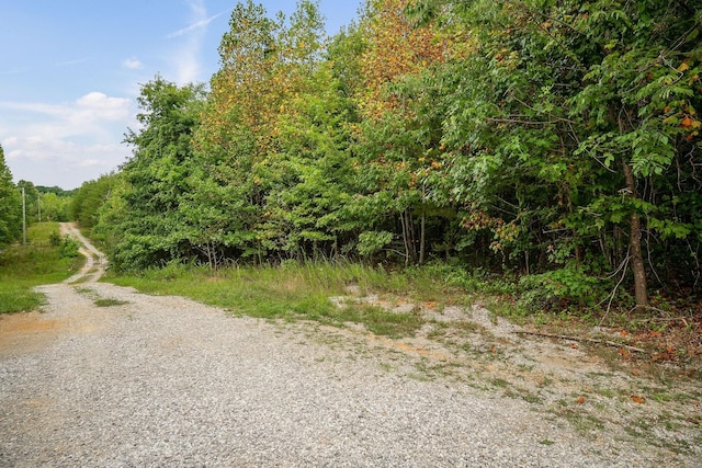 0 Eagle Nest Rd, Mcminnville, TN 37110 - photo 3
