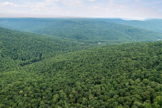 0 Eagle Nest Rd, Mcminnville, TN 37110 - photo 18