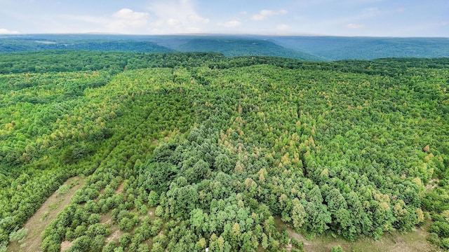 0 Eagle Nest Rd, Mcminnville, TN 37110 - photo 25