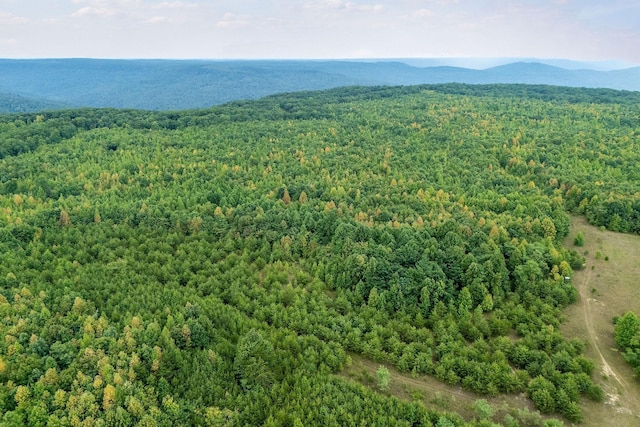 0 Eagle Nest Rd, Mcminnville, TN 37110 - photo 14