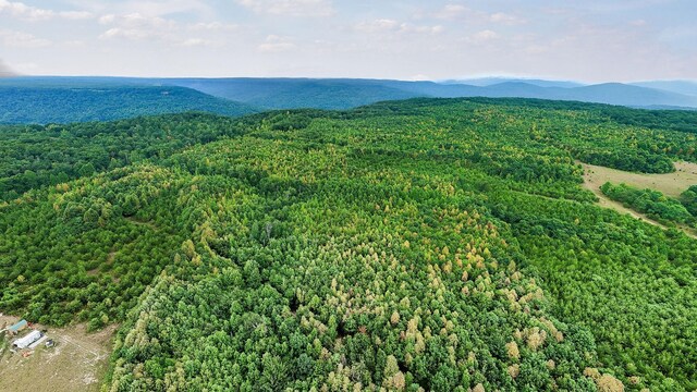 0 Eagle Nest Rd, Mcminnville, TN 37110 - photo 12