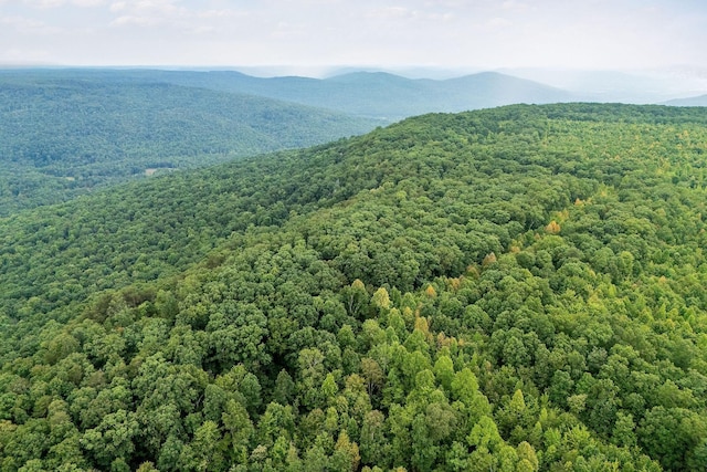 0 Eagle Nest Rd, Mcminnville, TN 37110 - photo 16