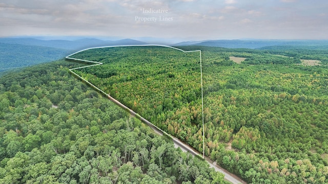 0 Eagle Nest Rd, Mcminnville, TN 37110 - photo 10