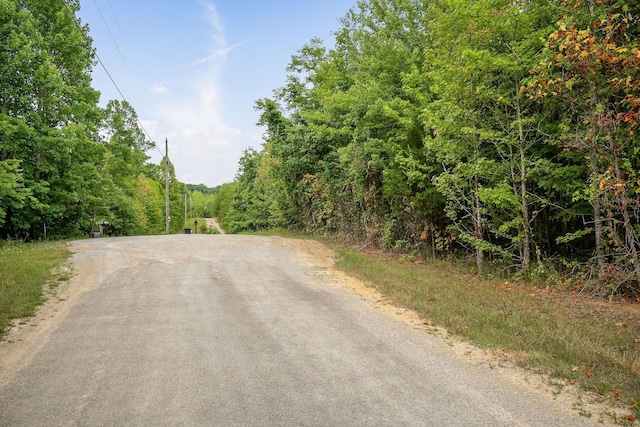 0 Eagle Nest Rd, Mcminnville, TN 37110 - photo 2