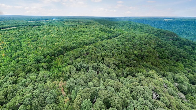 0 Eagle Nest Rd, Mcminnville, TN 37110 - photo 22