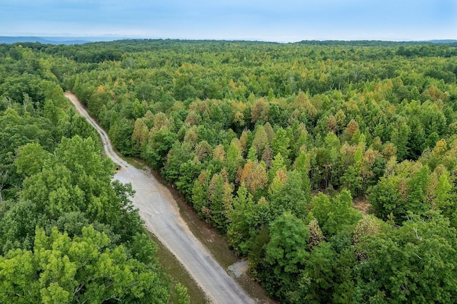 0 Eagle Nest Rd, Mcminnville, TN 37110 - photo 6