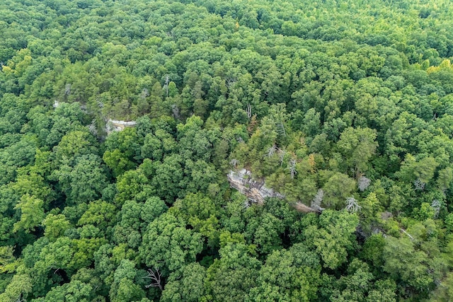 0 Eagle Nest Rd, Mcminnville, TN 37110 - photo 20