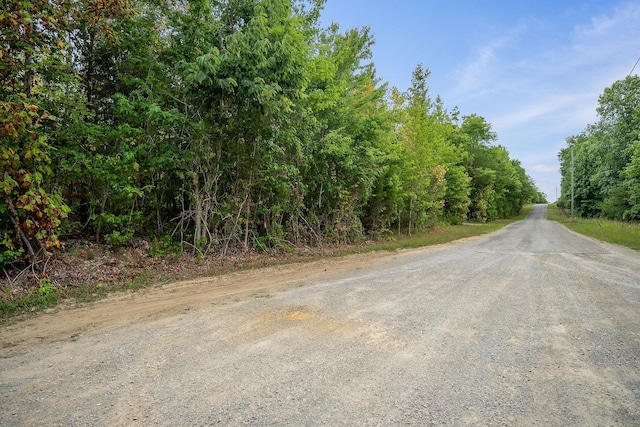0 Eagle Nest Rd, Mcminnville, TN 37110 - photo 4