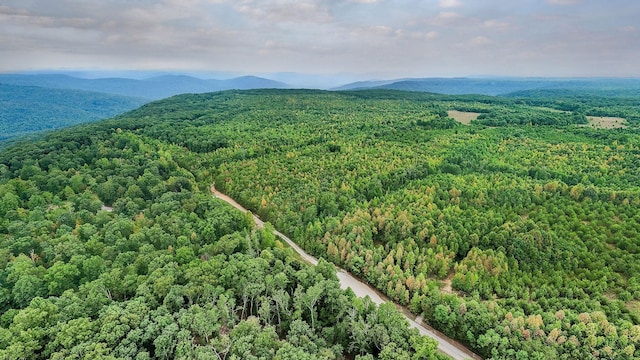 0 Eagle Nest Rd, Mcminnville, TN 37110 - photo 9