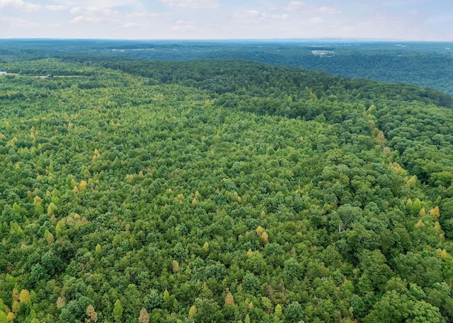 0 Eagle Nest Rd, Mcminnville, TN 37110 - photo 23