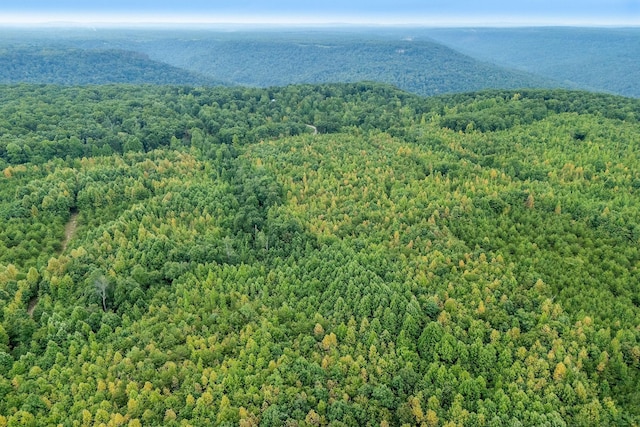0 Eagle Nest Rd, Mcminnville, TN 37110 - photo 13