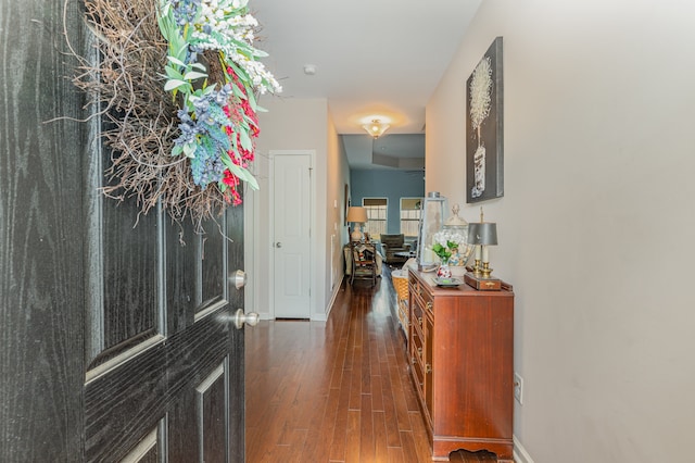 interior space with dark hardwood / wood-style flooring