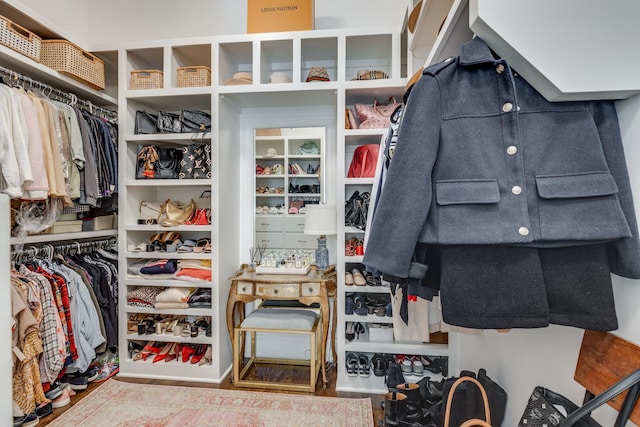 spacious closet with hardwood / wood-style floors