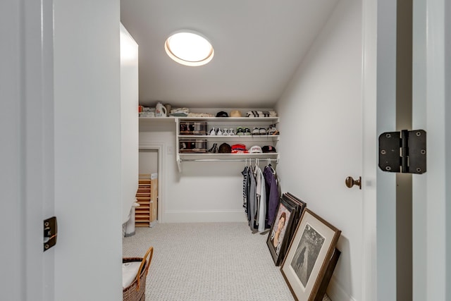 walk in closet featuring carpet flooring