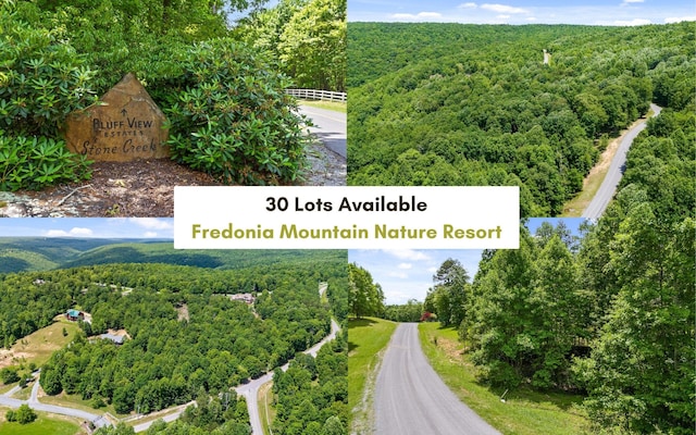 0 Fredonia Mtn, Dunlap TN, 37327 land for sale