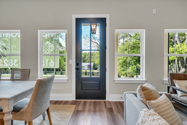 interior space featuring a wealth of natural light and wood-type flooring