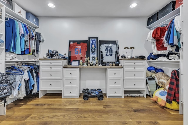 walk in closet featuring wood-type flooring