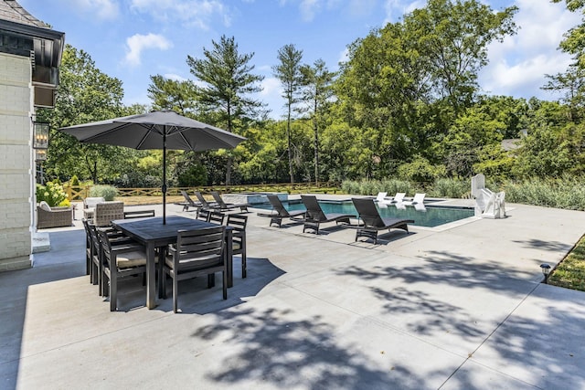 view of pool featuring a patio