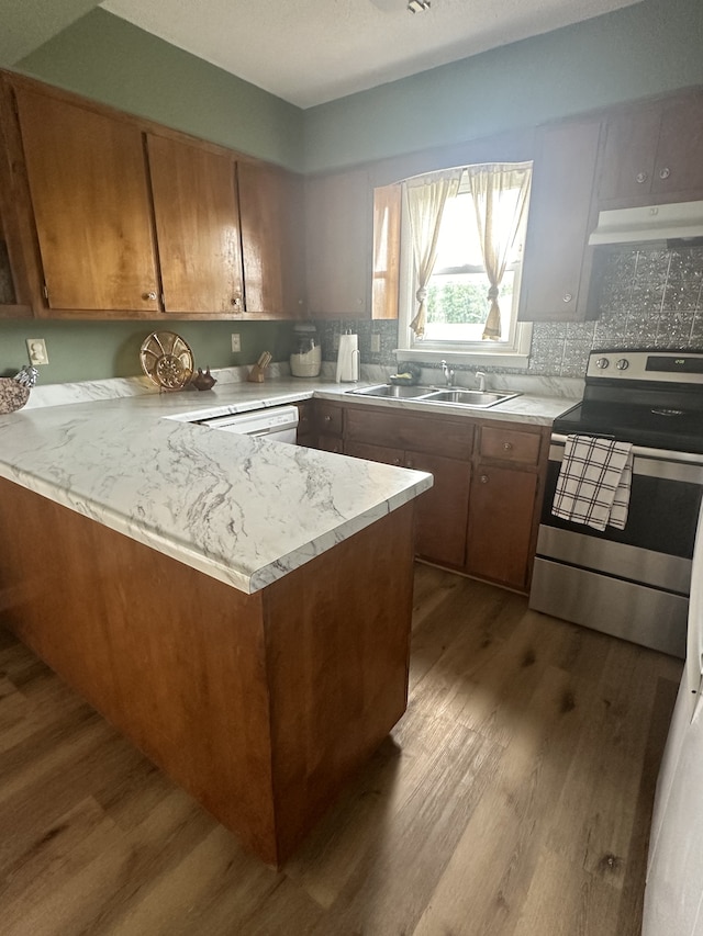 kitchen featuring tasteful backsplash, stainless steel electric range, hardwood / wood-style floors, and sink