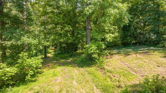 1560 River Rd, Clarksville, TN 37040