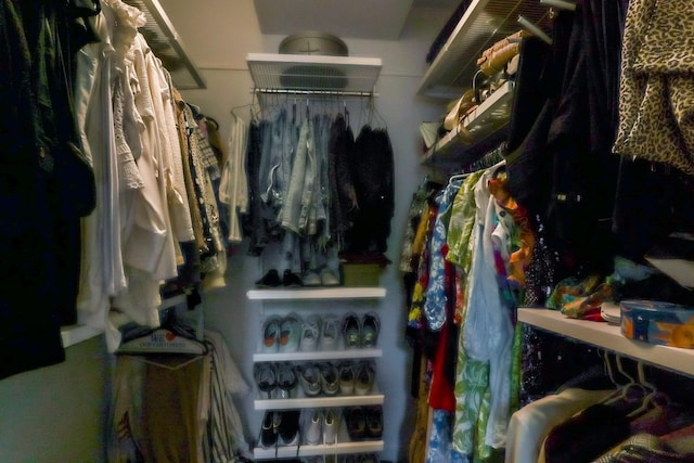 view of walk in closet