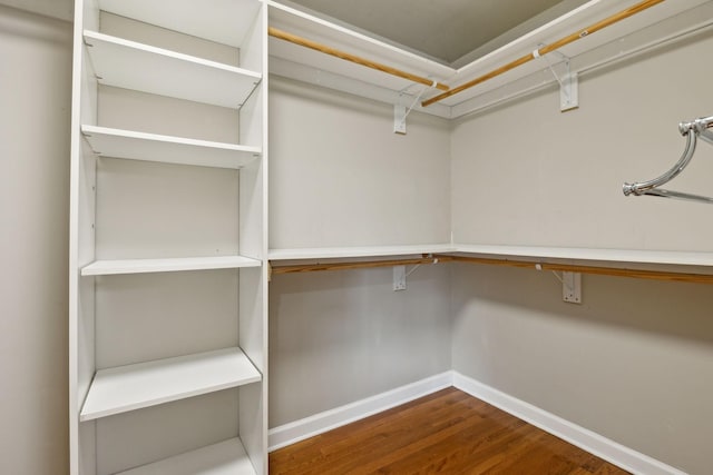 walk in closet with built in desk and hardwood / wood-style floors