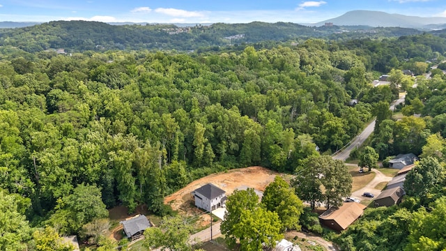 drone / aerial view featuring a mountain view