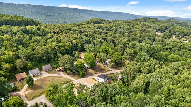 bird's eye view featuring a mountain view