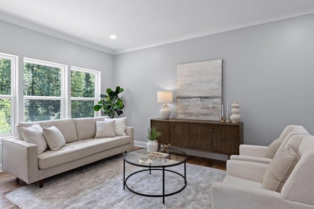 living room featuring wood-type flooring, plenty of natural light, and ornamental molding