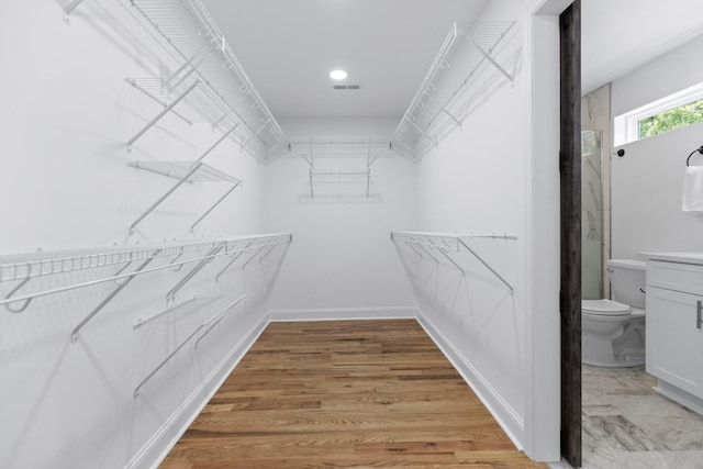 walk in closet with hardwood / wood-style flooring