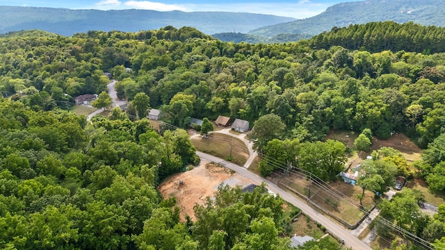 drone / aerial view featuring a mountain view